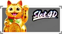 Slot4D